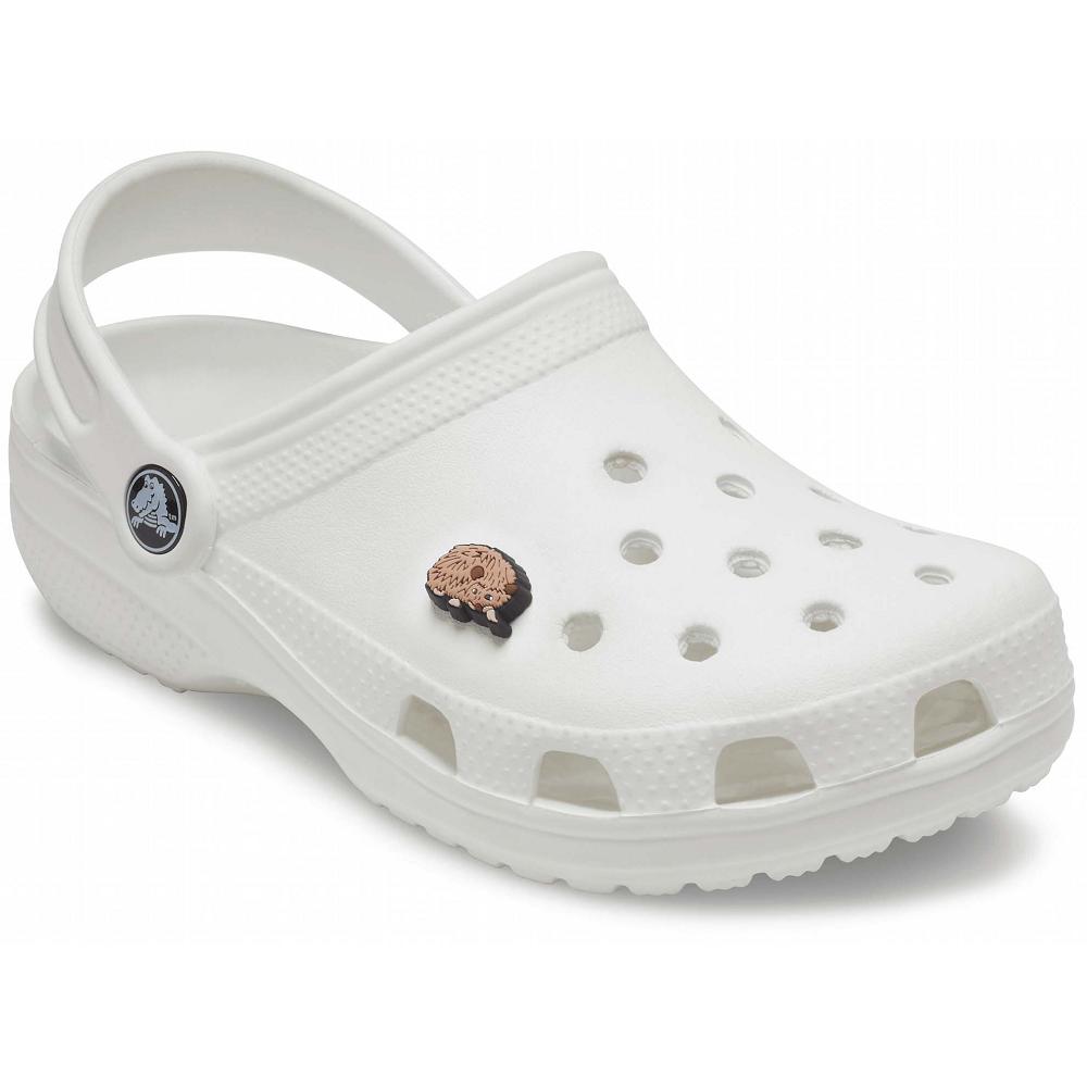 Clips Jibbitz Crocs Hedgehog Homme Multicolore | France 1036CTVE